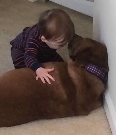 Ziva the dog loving her tiny human