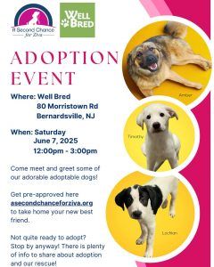 Adoption Event WellBred June 7th