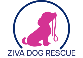 Ziva Dog Rescue Logo