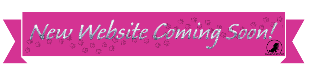 New Website Coming Soon
